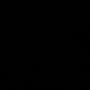 Meet your Posher, Nina